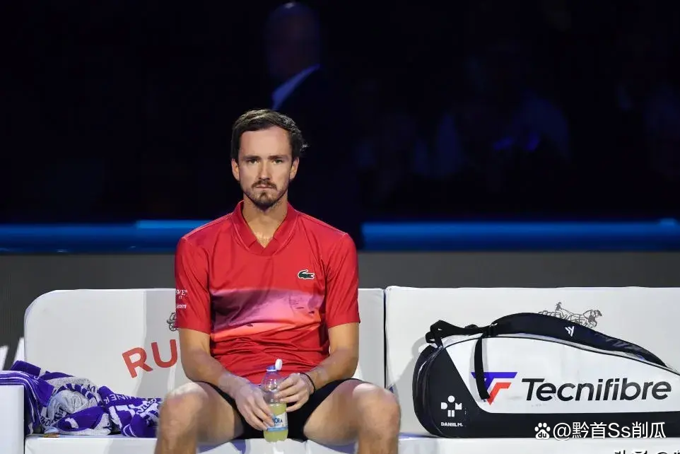 关于ATP总决赛力克法网，梅德韦杰夫惊艳四座的信息