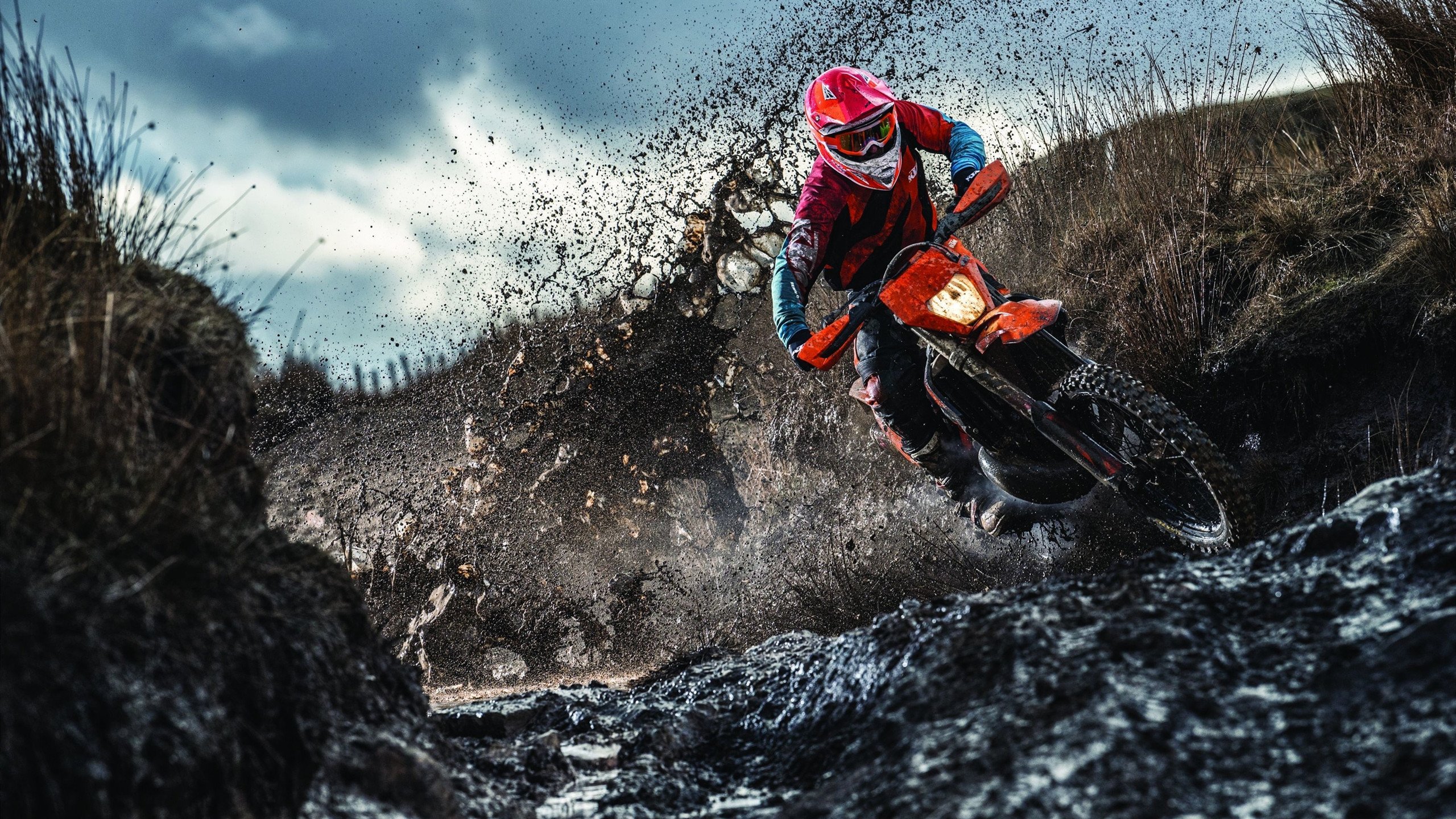 主宰之夜,米切尔关键表现引领灰熊力克奇才