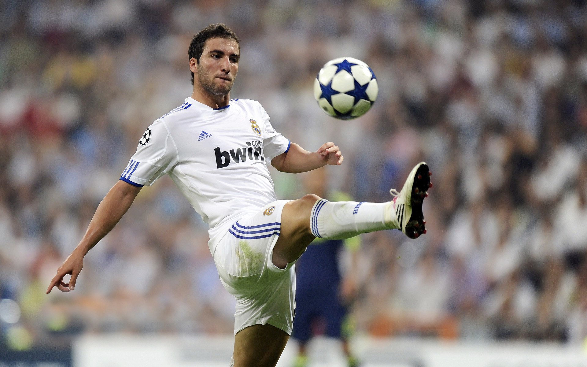 魔术轻取猛龙，塔图姆关键制胜，绿军新王如何主宰赛场